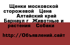 Щенки московской сторожевой › Цена ­ 10 000 - Алтайский край, Барнаул г. Животные и растения » Собаки   